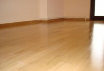 m15.04.2007 246