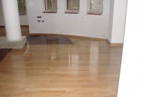 mDSC01337