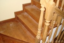 mDSC01500