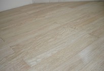 mDSC03172