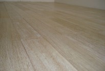 mDSC03173