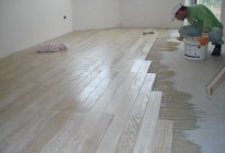 mDSC03175