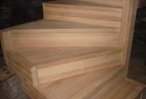 mDSC03937