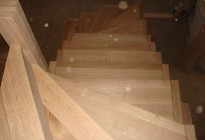 mDSC03950