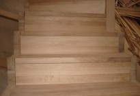 mDSC03957