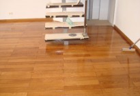mDSC04162