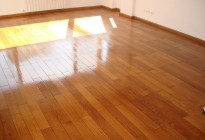 mDSC04164