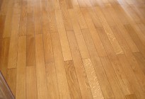 mDSC04170